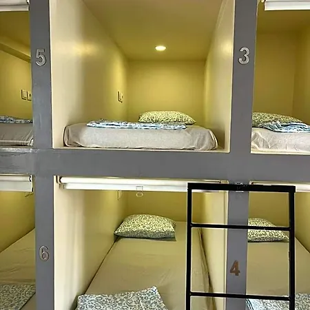 Daora Beds